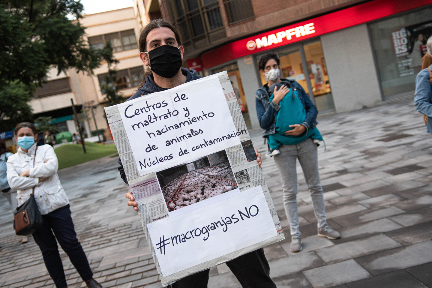 L'emergència climàtica no atura el boom de macrogranges al País Valencià