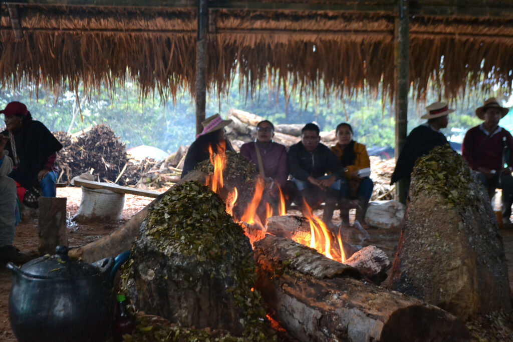 El Consell Regional Indígena del Cauca assoleix mig segle de lluita a Colòmbia