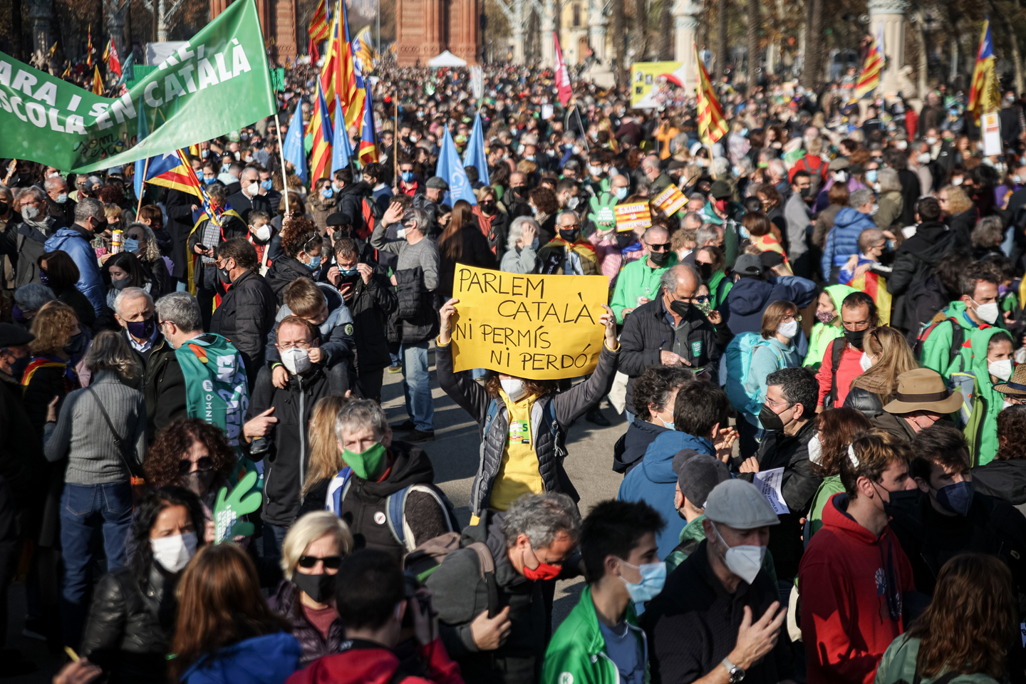 Una onada verda per preservar la immersió lingüística a l'escola catalana de l'ofensiva judicial