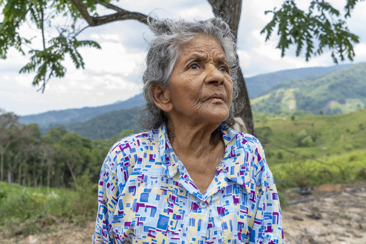 La Línia Groga va néixer als anys vuitanta, quan les pobladores desplaçades a la zona a causa del conflicte armat colombià, van marcar la zona fins on es podia colonitzar