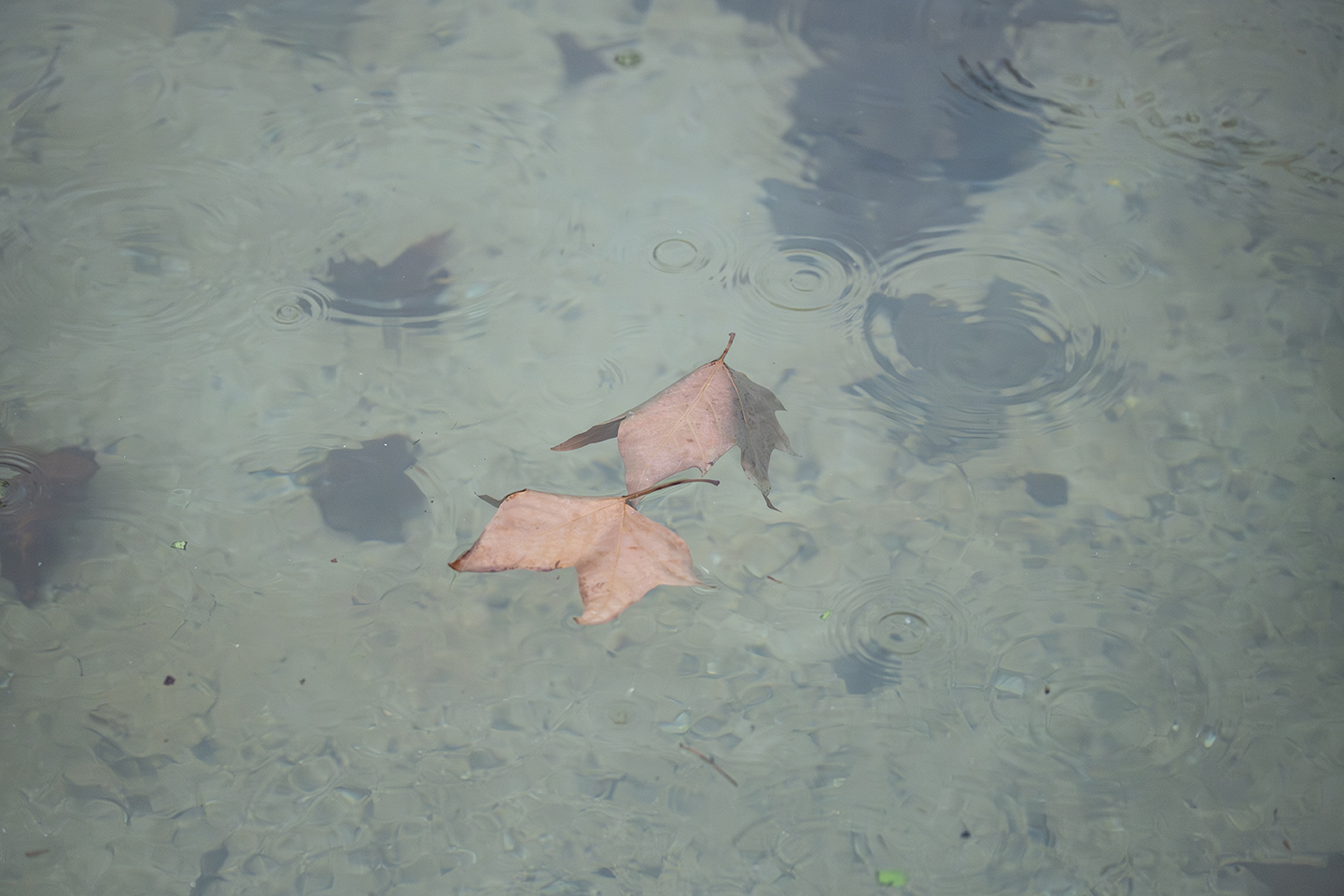 La tendresa va en direcció contrària